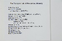 臺灣山蘇花藏品圖，第2張