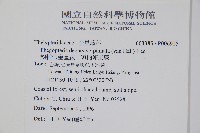 翅軸假金星蕨、短柄卵果蕨藏品圖，第2張