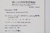 木賊藏品圖，第2張