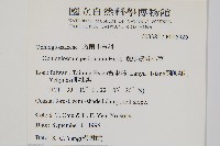 鈍頭瓶爾小草、狹葉瓶爾小草藏品圖，第2張