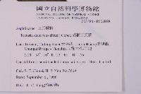 翅柄三叉蕨藏品圖，第2張