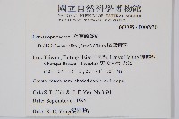 尾葉實蕨藏品圖，第2張