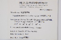 蘭嶼觀音座蓮藏品圖，第2張