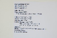 全緣卷柏藏品圖，第2張