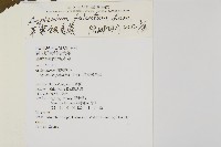 鐮葉鐵角蕨藏品圖，第2張