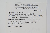 抱樹石葦藏品圖，第2張