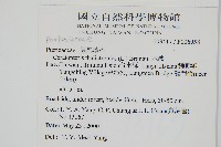 水蕨藏品圖，第2張