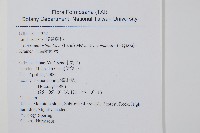 海島陵齒蕨藏品圖，第2張