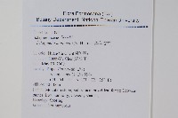 異葉卷柏藏品圖，第2張