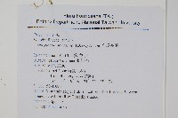 全緣卷柏藏品圖，第2張