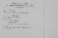 粉葉蕨藏品圖，第2張