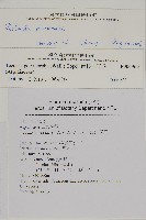 紫柄三叉蕨藏品圖，第2張