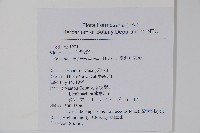 臺灣車前蕨藏品圖，第2張