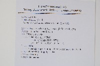 全緣卷柏藏品圖，第2張