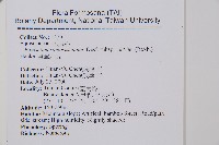 臺灣木賊藏品圖，第2張