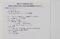 馬來鐵線蕨藏品圖，第2張