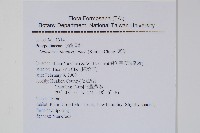 瓦葦藏品圖，第2張