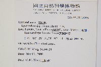 石松藏品圖，第2張