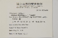 半月形鐵線蕨藏品圖，第2張