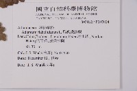 扇葉鐵線蕨藏品圖，第2張