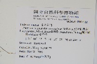 翅軸假金星蕨、短柄卵果蕨藏品圖，第2張