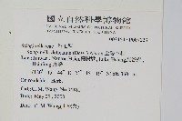 全緣卷柏藏品圖，第2張