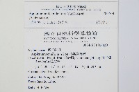 單邊鐵角蕨藏品圖，第2張