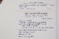 東洋蹄蓋蕨藏品圖，第2張