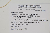 大膜蓋蕨藏品圖，第2張