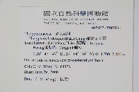 縮羽金星蕨藏品圖，第2張