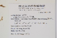 過山龍藏品圖，第2張