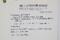 觀音座蓮藏品圖，第2張