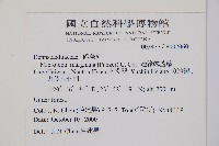 邊緣鱗蓋蕨藏品圖，第5張