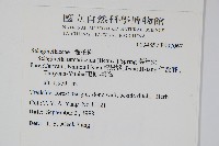 萬年松藏品圖，第2張