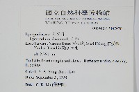 石松藏品圖，第2張