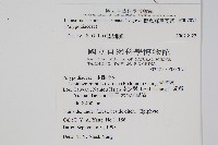 擬烏蘇里瓦葦藏品圖，第2張