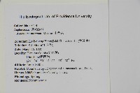 山蘇花藏品圖，第2張
