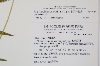 東洋蹄蓋蕨藏品圖，第2張