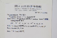 南海鱗毛蕨藏品圖，第2張