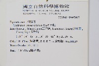 木賊藏品圖，第2張