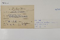 鐵線蕨藏品圖，第2張