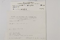 愛氏鐵線蕨藏品圖，第2張