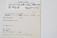 圓葉陵齒蕨藏品圖，第2張