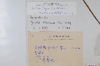 石葦藏品圖，第2張