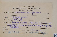 波氏星蕨藏品圖，第2張