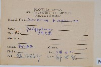 波氏星蕨藏品圖，第2張