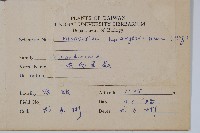 波氏星蕨藏品圖，第2張