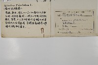 扇葉鐵線蕨藏品圖，第2張