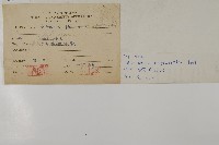 愛氏鐵線蕨藏品圖，第2張