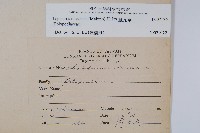 擬瓦葦藏品圖，第2張